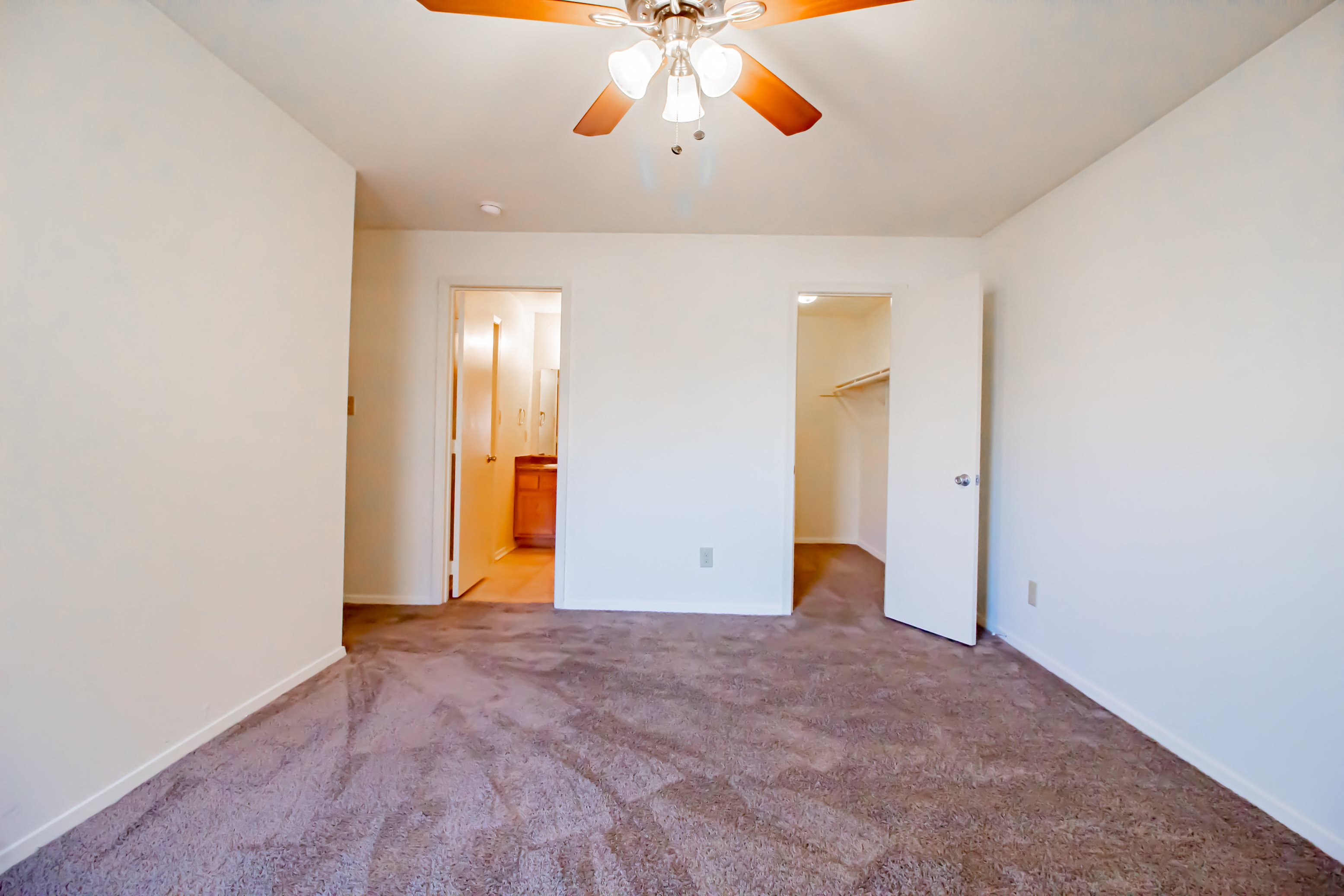 Gallery Photo 16